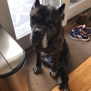 Meet your Posher, Jillian